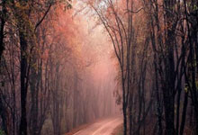 归化国脚塞尔吉尼奥纪念国安生涯首秀:7.