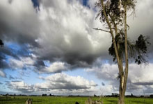 NG28官网:男子举重全锦赛收官 全运会“四冠王”杨哲夺两金.